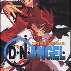 DN ANGEL 8