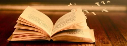 (c) Searchbooks.fr