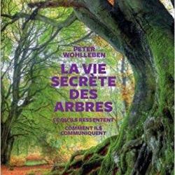 CVT_La-Vie-secrete-des-arbres_6315